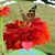 Karen Elizabeth Machowski's profile image