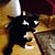 Holly Kozak's profile image
