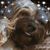 Tessie Naranjo's profile image