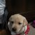 Carrie Schweiger's profile image