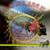 Christine Marie's profile image
