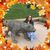 Annette Orsini Lawson's profile image