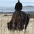 Jedidiah Metcalf's profile image