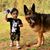 Kara Coll Chacon's profile image