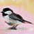 Noreen Walsh's profile image