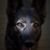 Barbara Inman's profile image