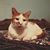 Laura Meaux's profile image