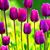 Debbie Larkin's profile image