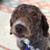 David Henry Feldman's profile image