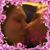 Rachel Lynn Ross's profile image