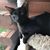 Jonna Boon Scott's profile image