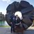Vickie Meloan Cromer's profile image