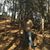 Noel Lopez-Flores's profile image