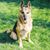 Karen Brooks Taylor's profile image