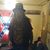 Barry Miller's profile image