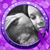 Sarah Moon's profile image