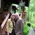 Cathi Dentler's profile image