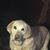 Deb Keyworth's profile image