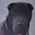 Patricia Medina's profile image