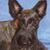 Linda Gonzalez's profile image