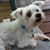 Kathryn Hopkin's profile image