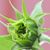 Anne Grace's profile image