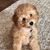 Marilyn Miller's profile image