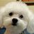Raymond Crowell's profile image