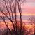Eileen Snider's profile image