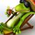 Debra Homa's profile image