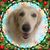 Kristin Berry's profile image