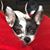 Julie Floyd Anderson's profile image