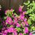 Judith Hodgson Sanford's profile image