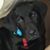 Scottye Crawford Lee's profile image