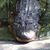 Tiffany Tscherne's profile image