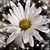 Annemarie Jackson's profile image