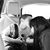 Beatriz Alejandra Mendez's profile image