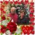 Aysel Cevher's profile image