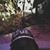 Shantena W. Jones's profile image
