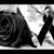 Rosy Vargas Ortiz's profile image