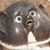 Mike Heller's profile image
