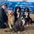Susan Buffenmyer's profile image