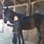 Mary McGaughy's profile image