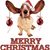 Susan Dorning's profile image