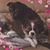 Katherine Victoria Cook's profile image