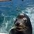 Andi Armadillo's profile image