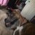 Lorie Butler's profile image