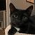 Chuck Snavé's profile image