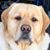 Casey Allen-Hyatt's profile image