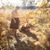 Holly Torgerson's profile image